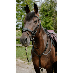 Endurancehoofdstel Norton Pop
