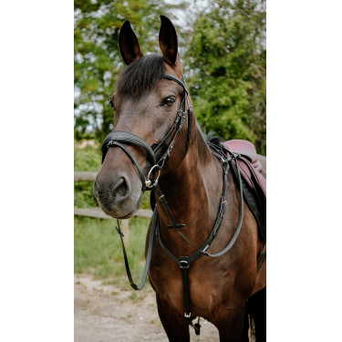 Endurancehoofdstel Norton Pop