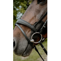 Endurancehoofdstel Norton Pop