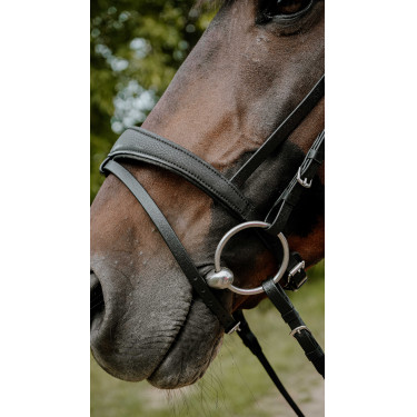 Endurancehoofdstel Norton Pop
