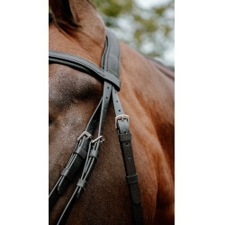 Endurancehoofdstel Norton Pop
