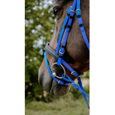 Endurancehoofdstel Norton Pop