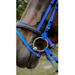 Endurancehoofdstel Norton Pop