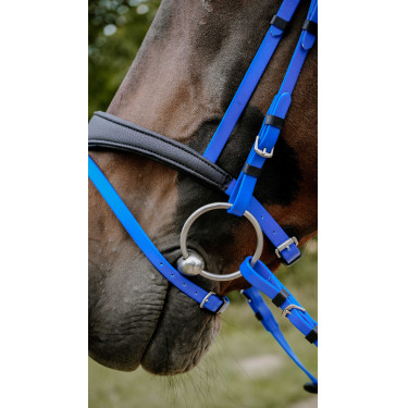 Endurancehoofdstel Norton Pop