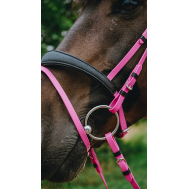 Endurancehoofdstel Norton Pop