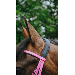 Endurancehoofdstel Norton Pop