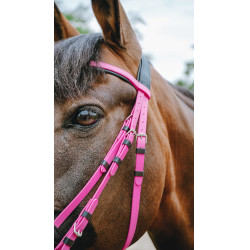Endurancehoofdstel Norton Pop