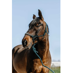 Ethologisch halster + leadrope Norton Deco Ethologisch halster + leadrope Norton Deco