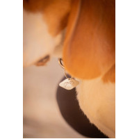 Hondenhalsband Penelope Billie Zwart / lurex Hondenhalsband Penelope Billie Zwart / lurex