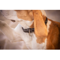 Hondenhalsband Penelope Billie