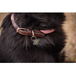 Hondenhalsband Penelope Billie