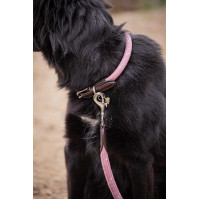 Hondenhalsband Penelope Billie Roze / lurex