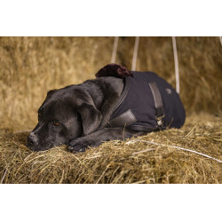 Polar fleece deken Diego & Louna Teddy