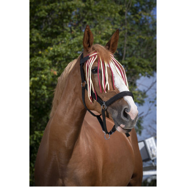 Frontale vliegenbeschermer Norton Rood / écru