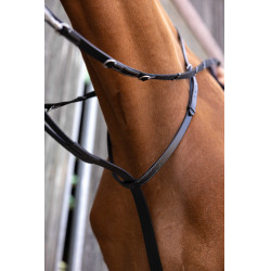 Norton Pro Thiedeman-hulpteugel Zwart Norton Pro Thiedeman-hulpteugel Zwart