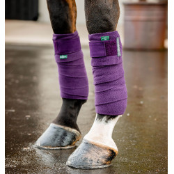 Horseware Amigo poloschoenen Winterberry Violet