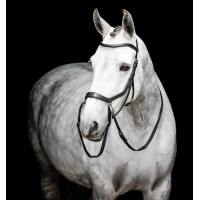 Paardenhoofdstel pony Horseware Flash Zwart