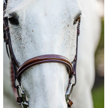 Horseware Cavesson Hunter ponyhoofdstel met teugels