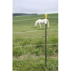 Metalen paal T-Post AKO Metalen paal T-Post AKO