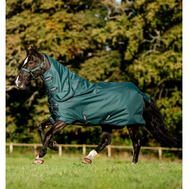 Horseware Amigo Ripstop 900D Plus Pony Turnout 0g Deken Groen dynastie / marine / zilver Horseware Amigo Ripstop 900D Plus Pony Turnout 0g Deken Groen dynastie / marine / zilver