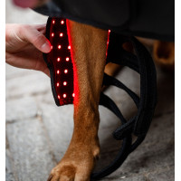 Horseware therapiebeschermers voor honden met rood LED-licht Zwart / zwart