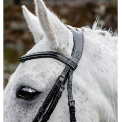 Paardenhoofdstel pony Horseware Flash Zwart