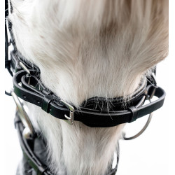 Paardenhoofdstel pony Horseware Flash Zwart