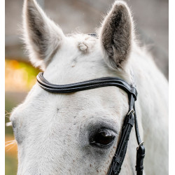 Paardenhoofdstel pony Horseware Flash Zwart