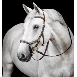 Hoofdstel Horseware Micklem Deluxe Competition Donker Havana Bruin