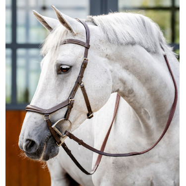 Hoofdstel Horseware Micklem Deluxe Competition Donker Havana Bruin