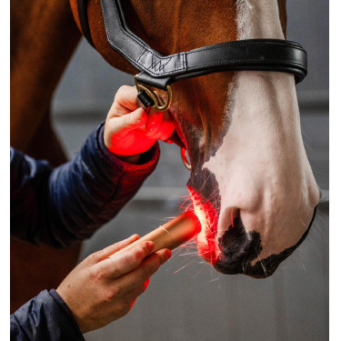Horseware therapie-stylus met rood LED-licht Zwart / zwart