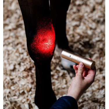 Horseware therapie-stylus met rood LED-licht Zwart / zwart
