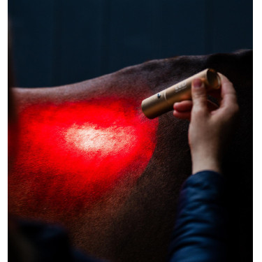 Horseware therapie-stylus met rood LED-licht Zwart / zwart