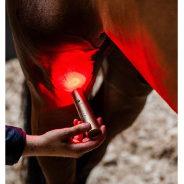 Horseware therapie-stylus met rood LED-licht Zwart / zwart
