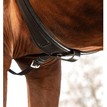 Horseware Micklem borsttuig met martingaal Zwart