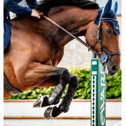 Horseware® Classic peesbeschermers Zwart / zwart Horseware® Classic peesbeschermers Zwart / zwart