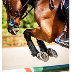 Horseware® Classic peesbeschermers Zwart / zwart Horseware® Classic peesbeschermers Zwart / zwart