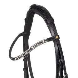 Equestro hoofdstel met anatomische neusriem Zwart