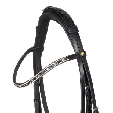 Equestro hoofdstel met anatomische neusriem Zwart