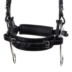 Hackamore-hoofdstel Supreme Zwart