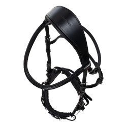 Hackamore-hoofdstel Supreme Zwart