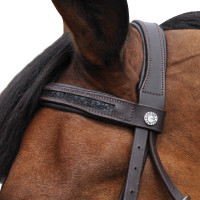 Bridon Canter Zwart strass Zwart