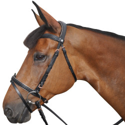 Bridon Canter ROSE GOUD