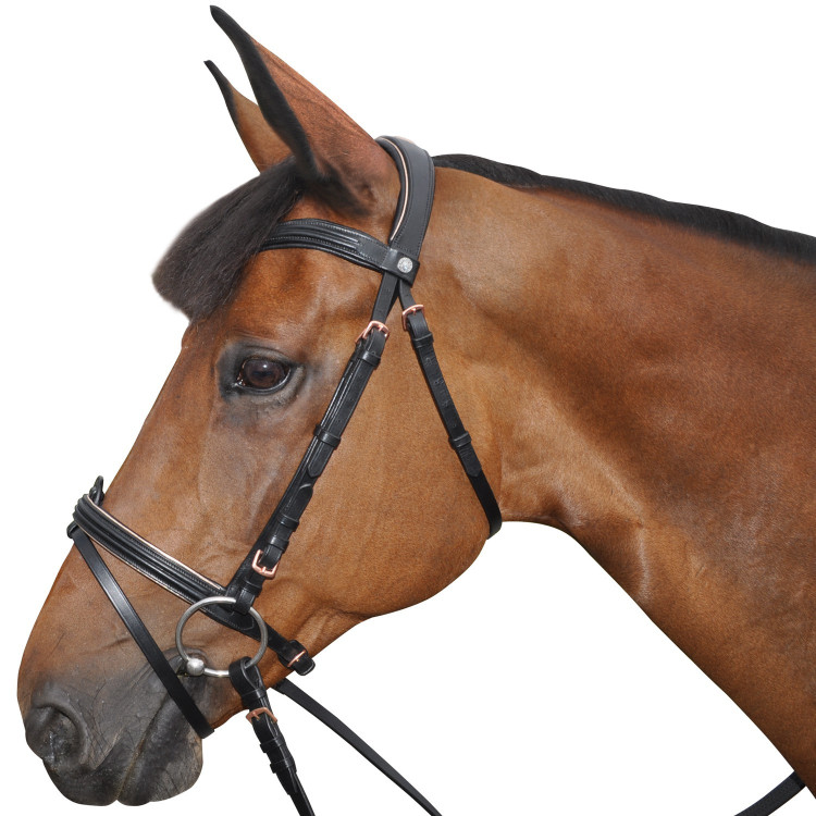 Bridon Canter ROSE GOUD