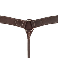 Western borsttuig Lakota van leer Geolied