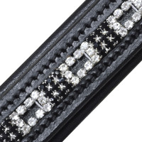 Frontaal zwart/zilver Canter Bruin