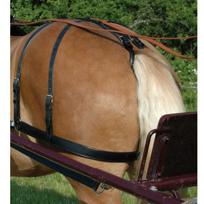 Terugtrekriemen Chetak Double marron