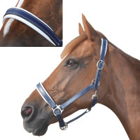 Leren halster met voering Chetak Marine / blanc