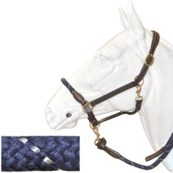 Touwhalster Canter Touwhalster Canter