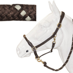 Touwhalster Canter Touwhalster Canter